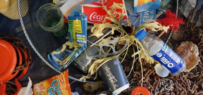 Encuesta ubica a Chile entre los países que más apoyan un tratado con reglas globales contra la contaminación plástica