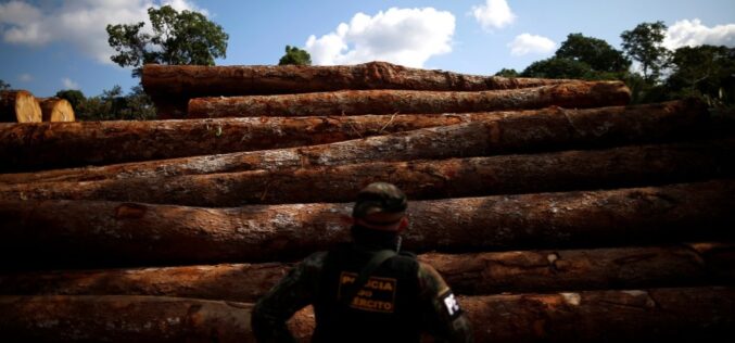 Europa pretende frenar la deforestación sin prestar atención a los derechos indígenas y sin vigilancia sobre las empresas
