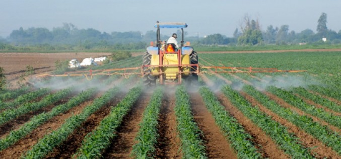 Guía para inversores sobre los riesgos de la cadena de suministro agrícola