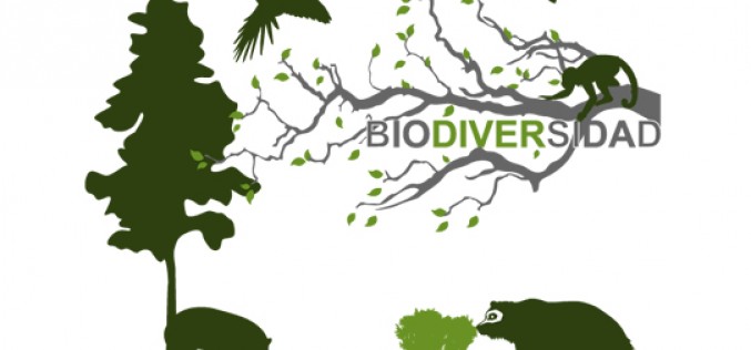 Ley SBAP: los primeros avances de la puesta en marcha de la institucionalidad ambiental que protege la Biodiversidad en Chile
