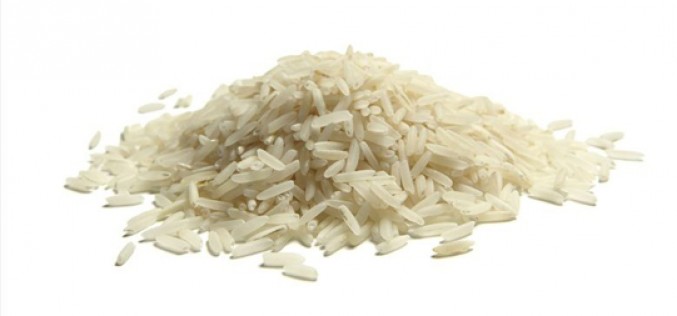 Primer estándar mundial para el arroz sostenible