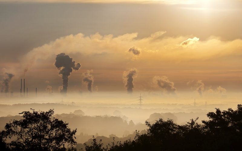 “Mercado Global del Carbono”, proyecto busca posicionar a Chile como país activo en la lucha contra el cambio climático