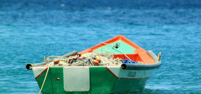 Sólo 12% de la pesca mundial de atún está certificada como sustentable; destacan prácticas sustentables de México