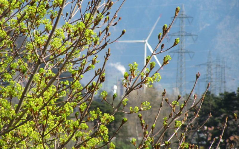 El 93% de las empresas españolas del Pacto Mundial orientan sus esfuerzos al área medioambiental