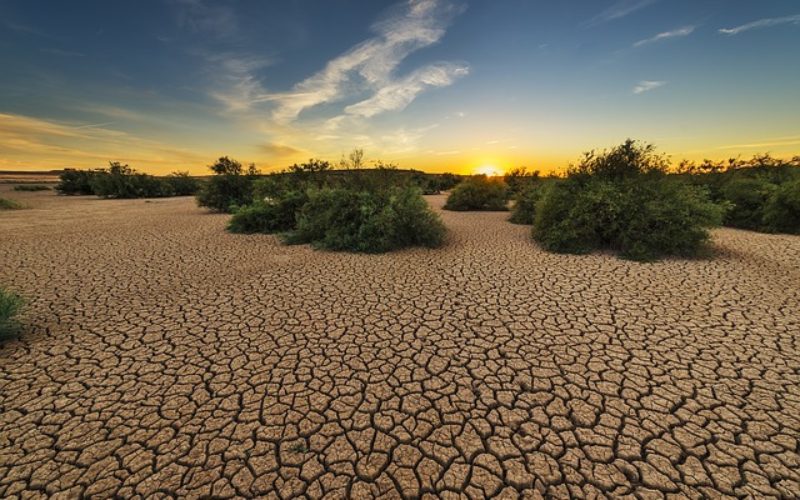 Cambio climático: Chile sumará 14 años consecutivos de sequía y proyectan aumento en olas de calor