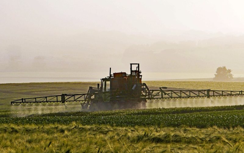 De las aulas al campo: Universidades promueven la agricultura sostenible