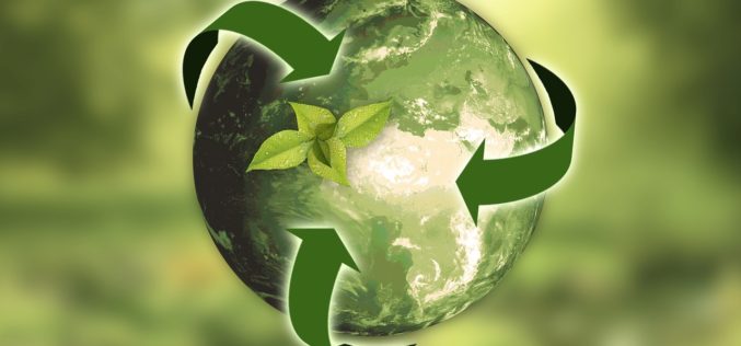 Natura se convierte en la primera empresa de economía emergente en lograr la Certificación de Integridad del Carbono Platino