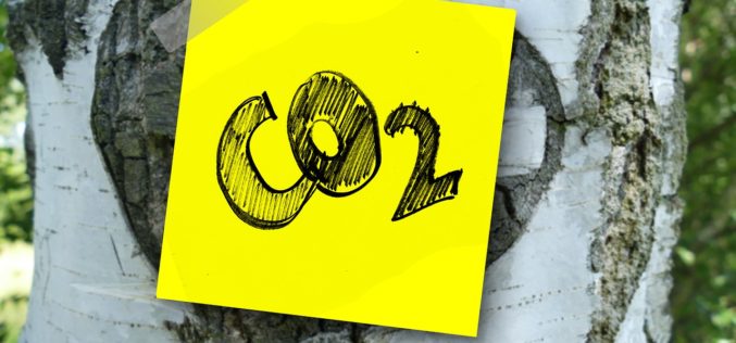 Compañía australiana alcanza estatus de carbono neutral