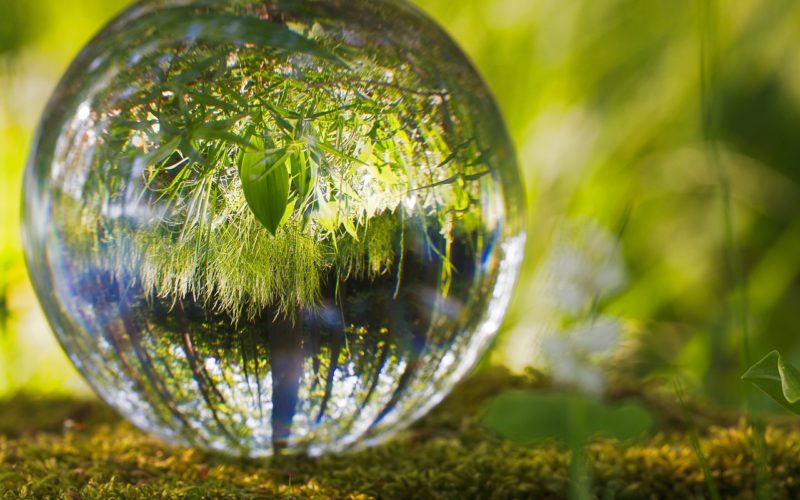 Principado de Asturias: El Ejecutivo recibe el premio ‘Sustainability Action 2024’ por su compromiso contra el cambio climático y la defensa de la sostenibilidad