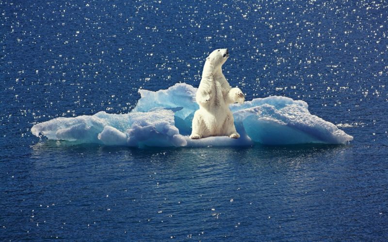 Nobel de economía a la lucha contra el cambio climático