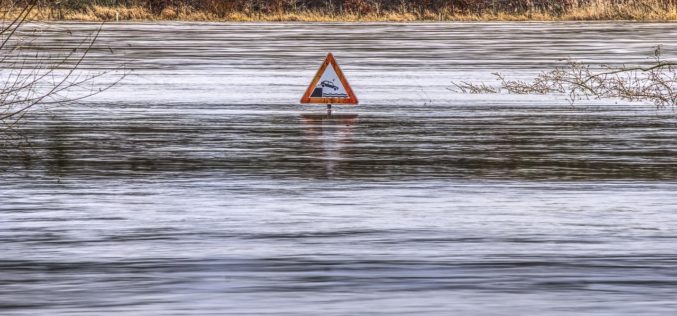 Qué son los jardines de lluvia: este es el innovador método para evitar las inundaciones en las ciudades españolas