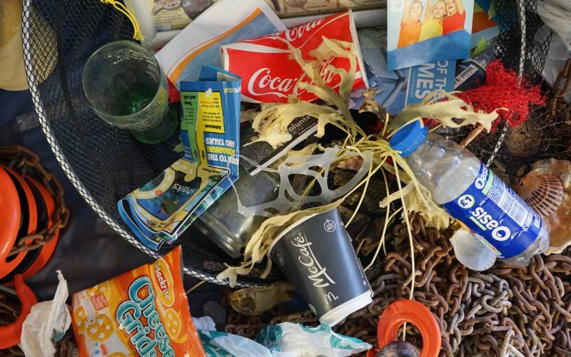 ¿Cuánto plástico comemos cada semana por los microplásticos?