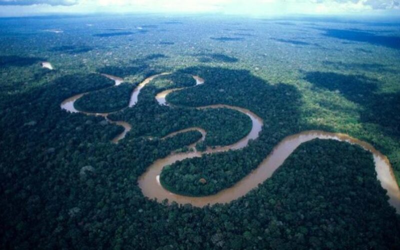 Restaurar la Amazonía, una solución al cambio climático de Colombia para el mundo