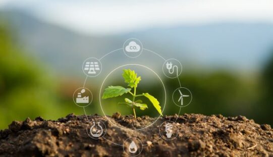 Economía circular en Colombia: 4 startups que están redefiniendo la sostenibilidad