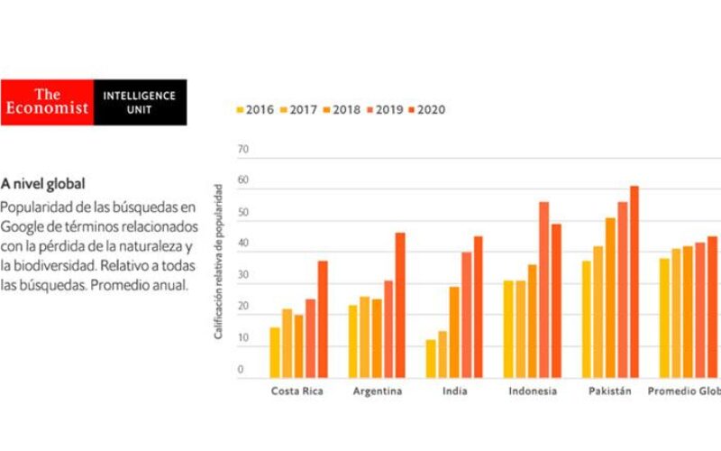 Latinoamérica lidera un despertar ecológico que se traduce en la búsqueda de productos sostenibles