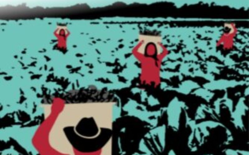 México: Para proteger los derechos humanos de las y los trabajadores agrícolas migrantes surge proyecto “Periplo”