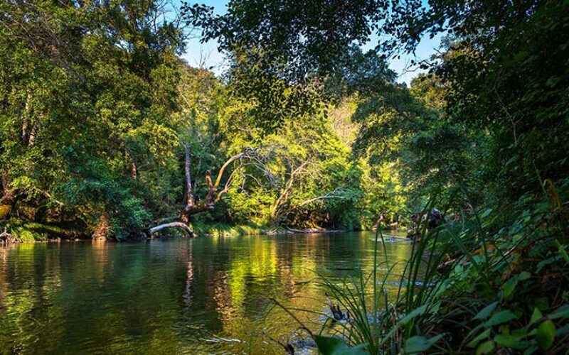 Colombia es reconocida por liderazgo ambiental