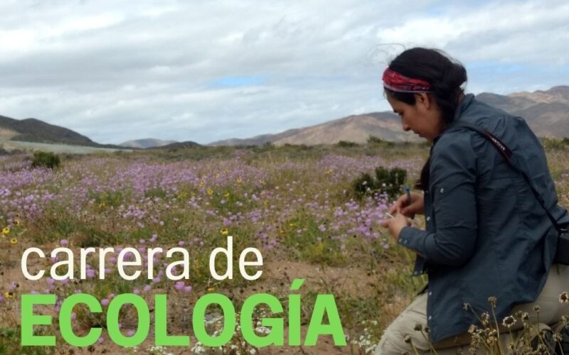 Universidad de Valparaíso impartirá la primera carrera de Ecología en Chile