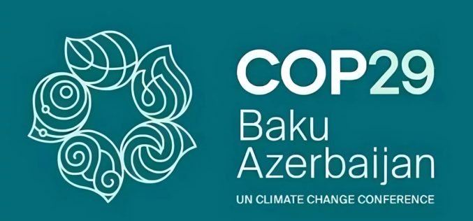 COP29: Un nuevo hito en la lucha contra el cambio climático