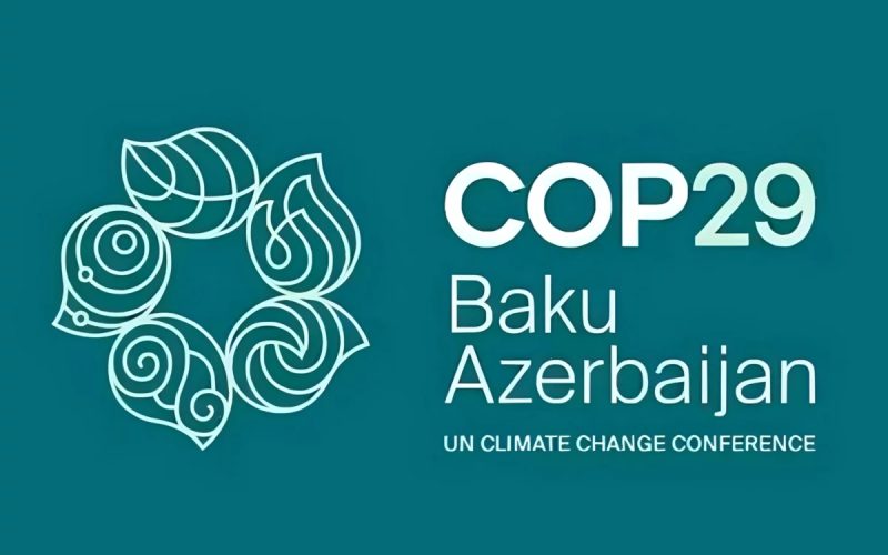 COP29: Un nuevo hito en la lucha contra el cambio climático