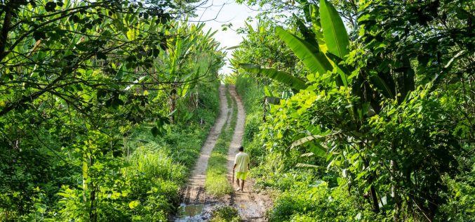 La Corte Constitucional de Ecuador confirma que hubo esclavitud moderna en las haciendas de Furukawa